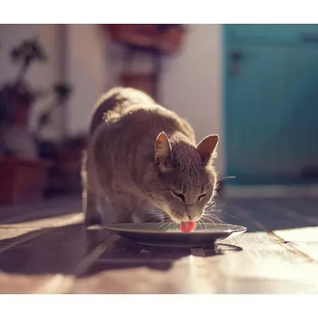 With A Breathtaking View *