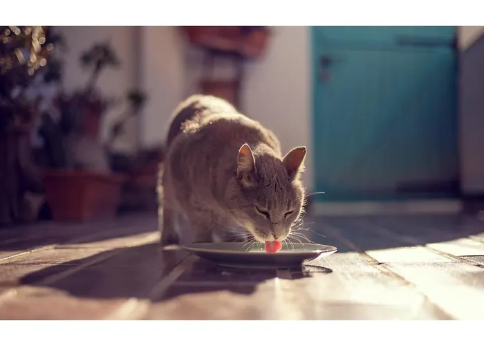 With A Breathtaking View *